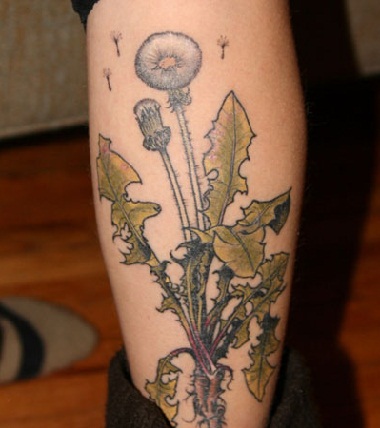 Wild Dandelion Tattoo