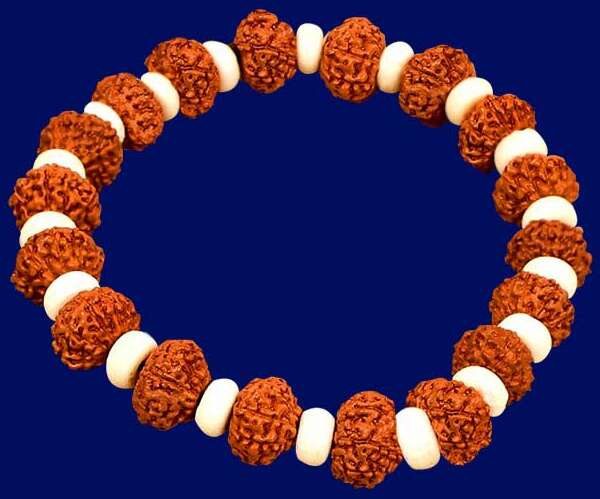10 Mukhi Rudraksha Bracelet