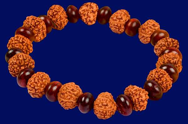 11 Mukhi Rudraksha Bracelet