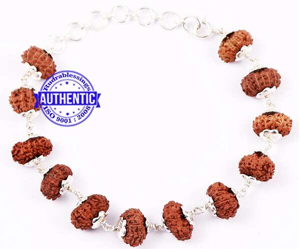 12 Mukhi Rudraksha Bracelet