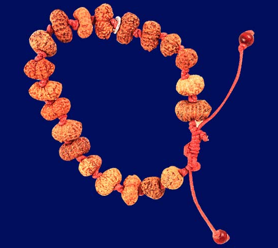 14 Mukhi Rudraksha Bracelet