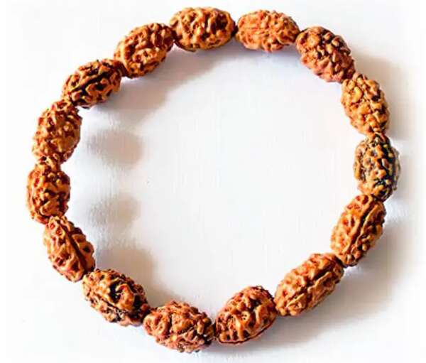 2 Mukhi Rudraksha Bracelet