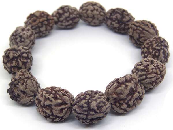 3 Mukhi Rudraksha Bracelet