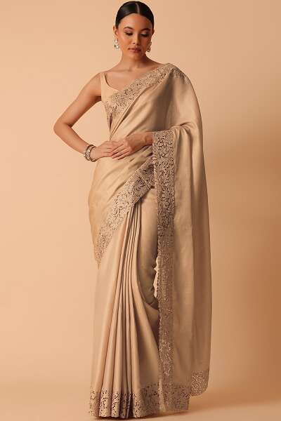 Beige Lace Saree