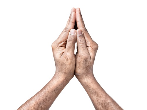 Anjali Mudra