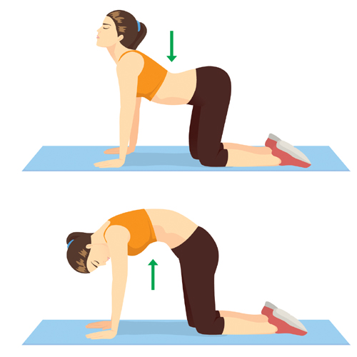 Cat Cow Yoga Poses For Runners