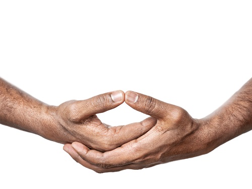 Dhyani Mudra