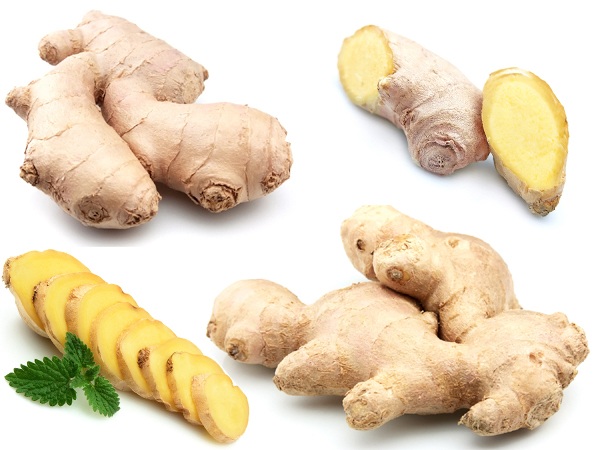 Ginger 5