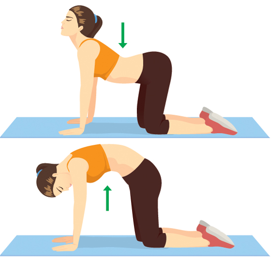 Marjariasana 3