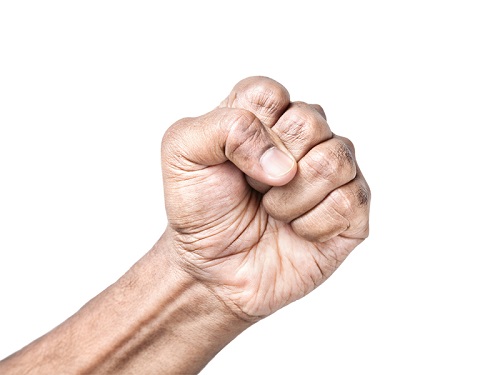 Mushti Mudra