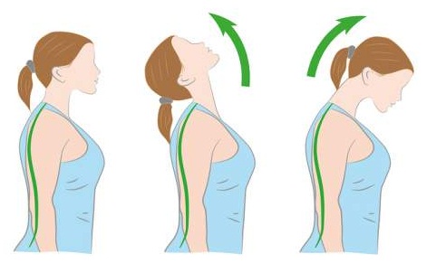 Neck Stretch