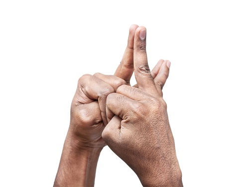 Shakti Mudra