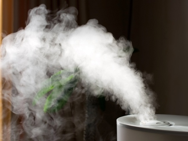 Steam Or Vapor 2