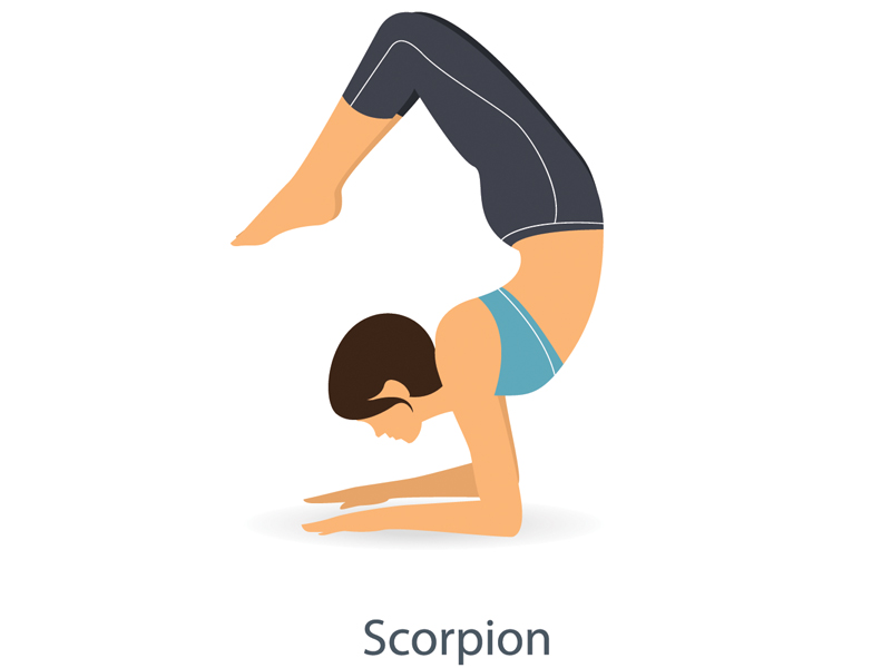 Vrischikasana (scorpion Pose) Steps And Benefits