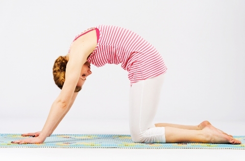 The Cat Stretch Exercises to Increase Flexibility