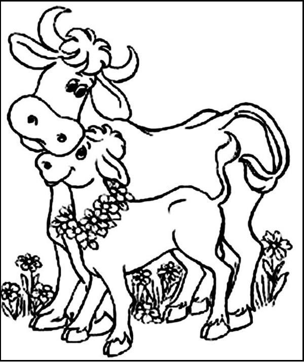 Mother And Baby Cow Coloring