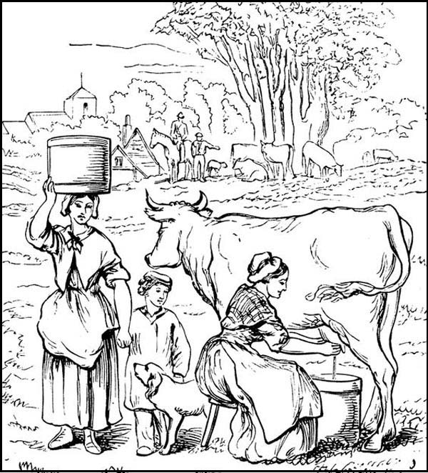 Cow With A Family Coloring Page