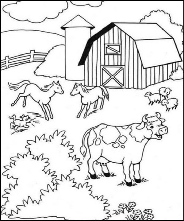 Cow And Horse Coloring