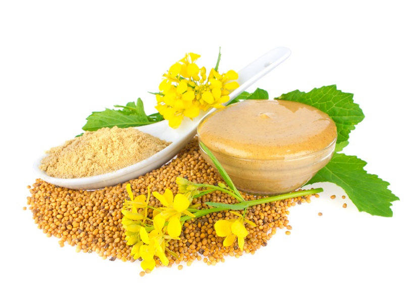 Benefits Of mustard during pregnancy