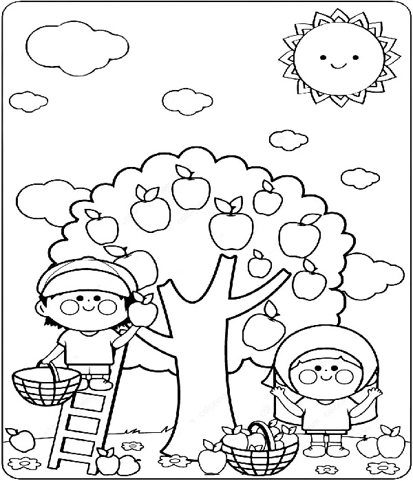 Apple Coloring Pages for Kids