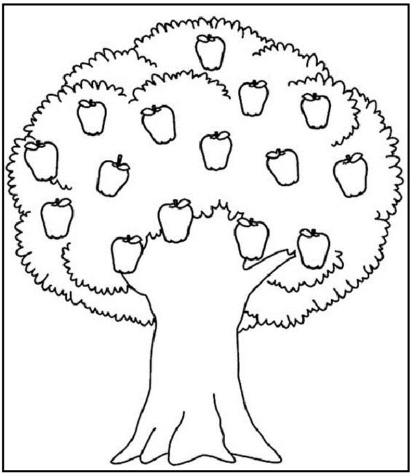 Apple Tree 
