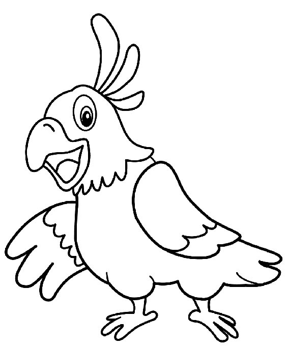 Cartoon Parrot Coloring