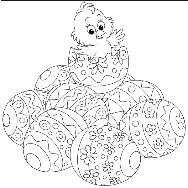 Chick Coloring Pages With Eggs