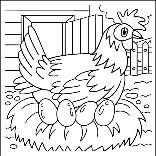 Chicken and Eggs Image
