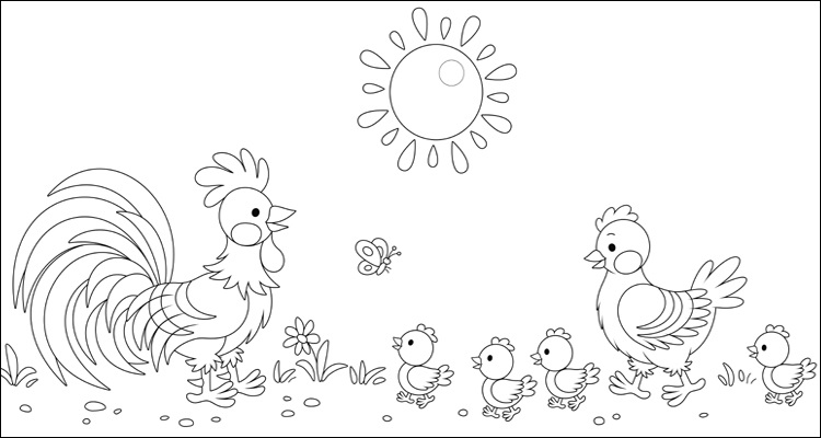 Chicken Family Page