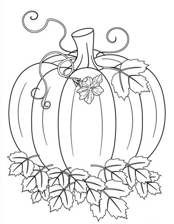 Children's Pumpkin Coloring
