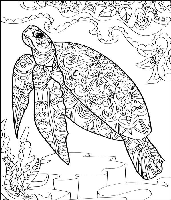 Detailed Turtle Coloring Page
