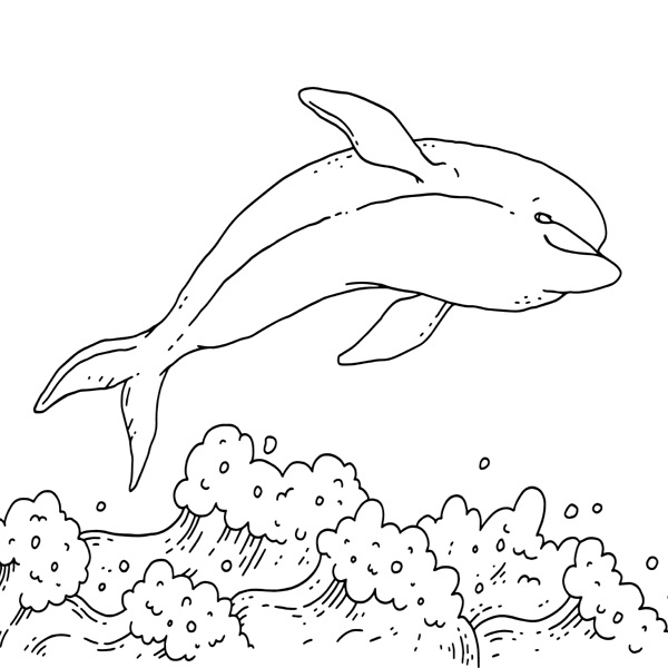 Dolphin Jumping Out Of Water Coloring Image