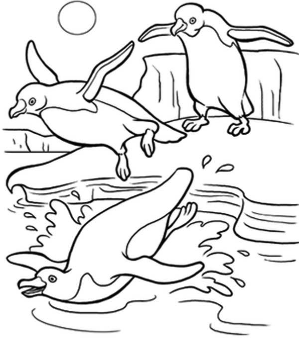 Free Printable Penguin Sheet
