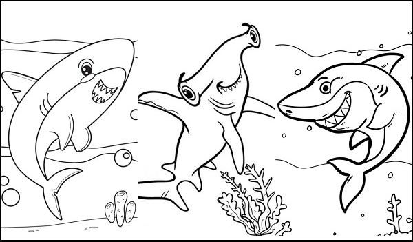 Free Printable Shark Sheet