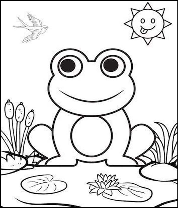 Frog Coloring Pages For Preschoolers
