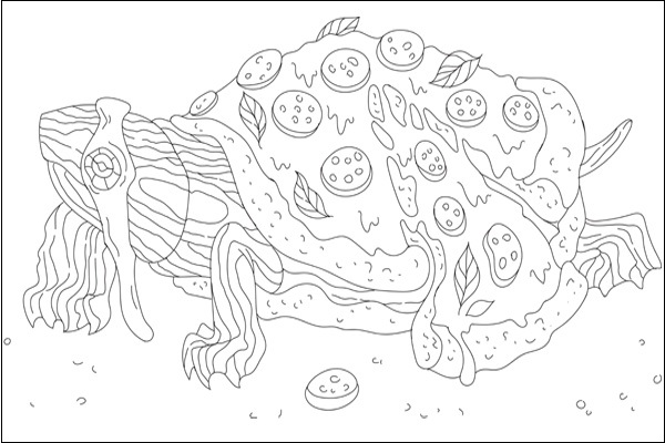 Funny Turtle Coloring Ideas