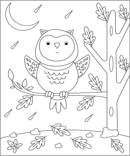 Girly Cute Owl 