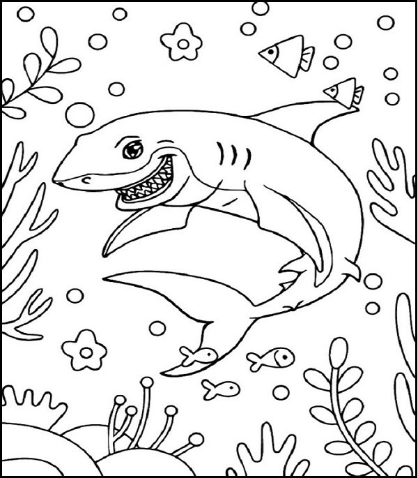 Great White Shark Sheet