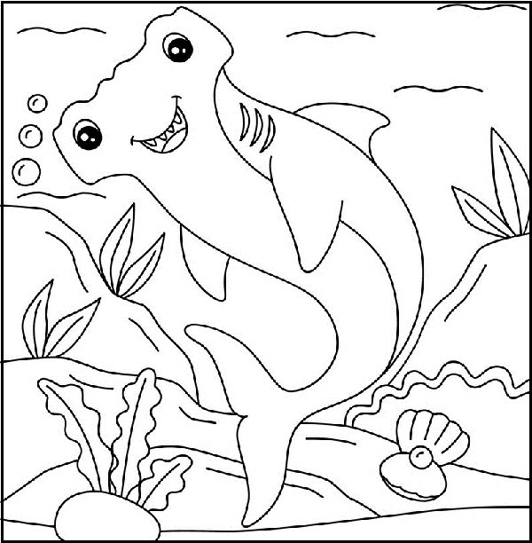 Hammerhead Shark Page