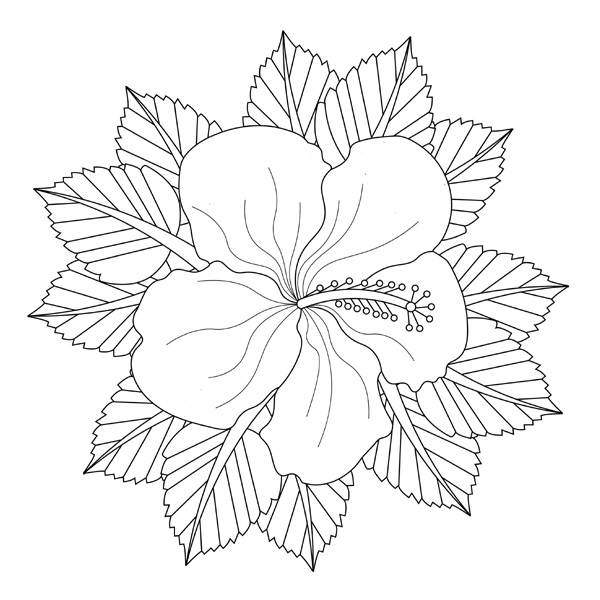 Hibiscus Coloring Sheet