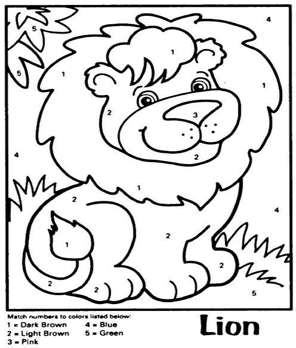 Lion Colour By Number