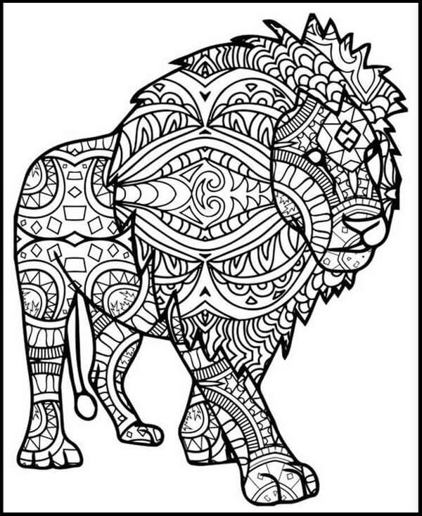 Lion Sheet For Adults