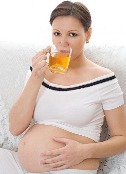 drinking lipton tea during pregnancy