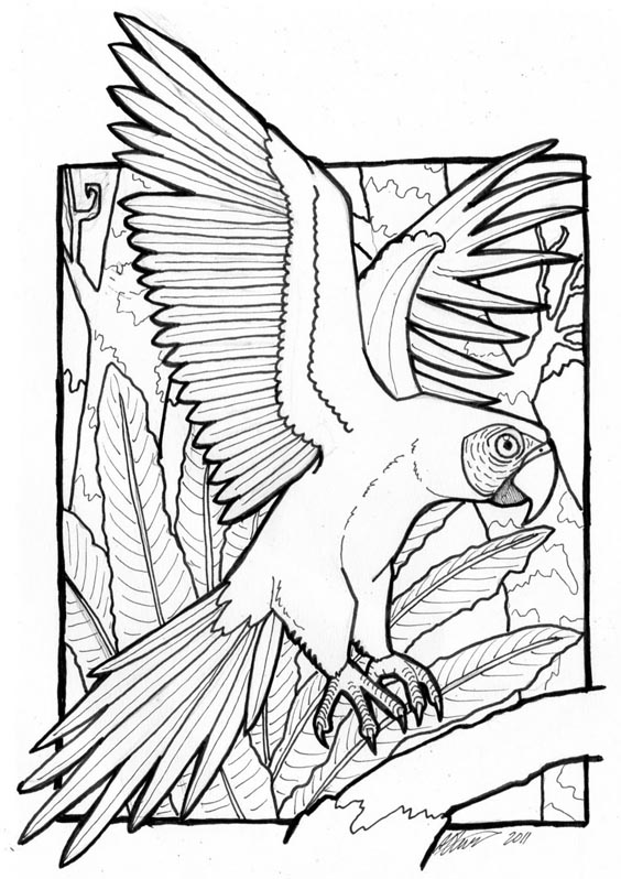 Macaw Parrot Coloring Pages