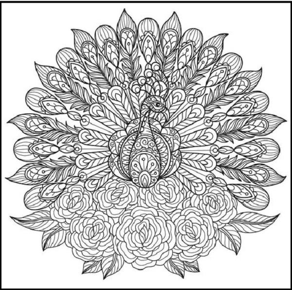 Mandala Peacock Sheet