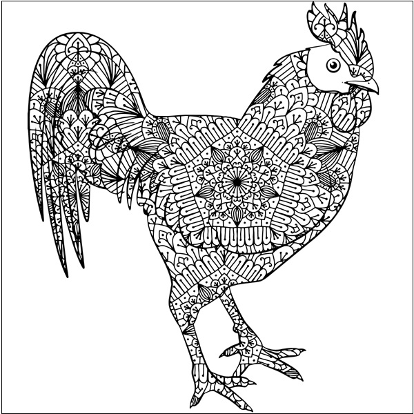 Mandala Chicken Coloring Page