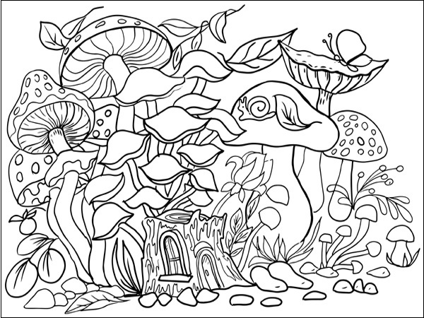 Mushroom Garden 