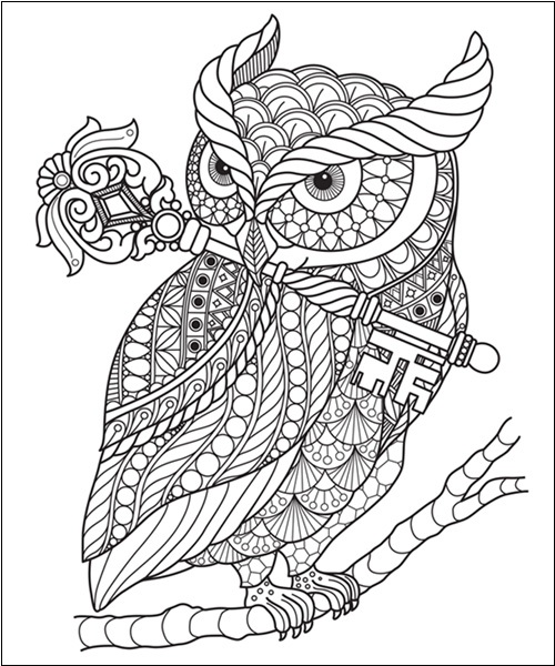 Owl Coloring Pages For Adults