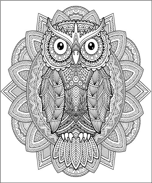 Owl Mandala Coloring Page