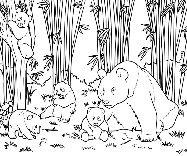 Panda Family Coloring 